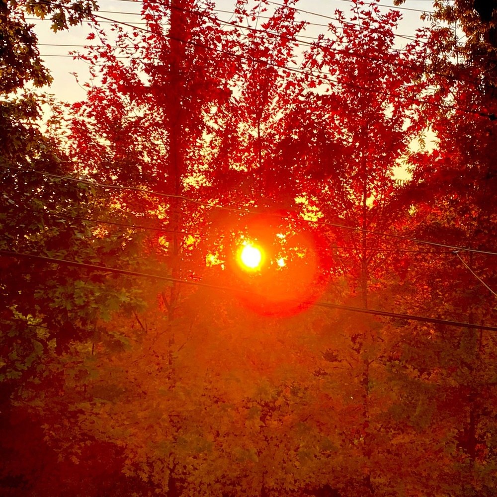 Meet your Posher, Jaci.